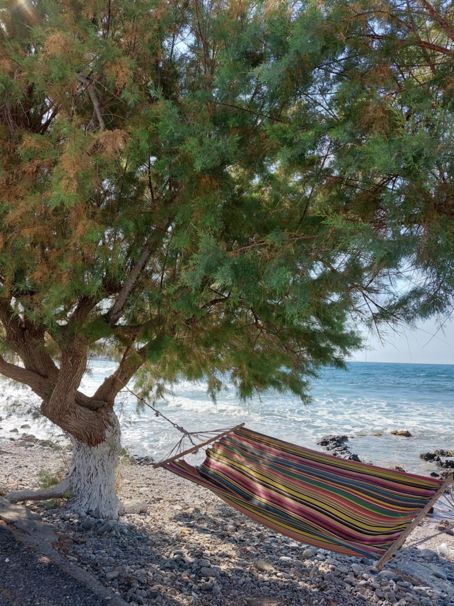 Du Soleil Дом отдыха